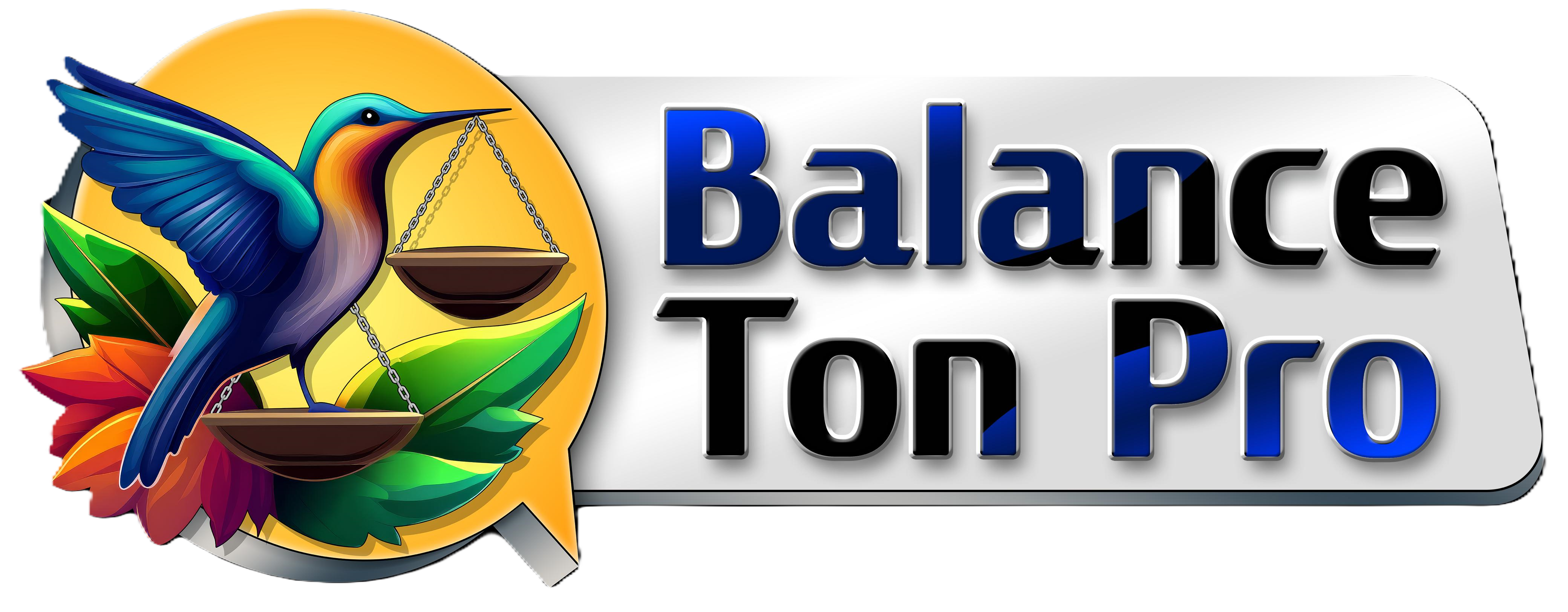 Logo BalanceTonPro